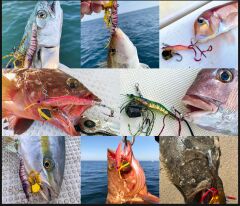 Little Jack Ebinem 75.7 mm 40 gr