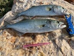 Zıpkan Zargana  17 cm 25 gr Maket Balık