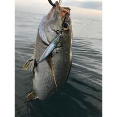 Little Jack Metal Adict 01 70 mm 40 gr Jig Yem