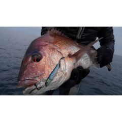 Little Jack Metal Adict 01 60 gr Jig Yem