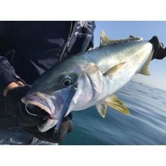 Little Jack Metal Adict 03 83 mm 20 gr Jig Yem