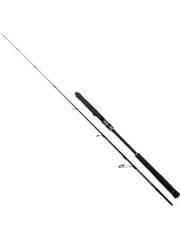 RYUJI SEAWOLF 1.98M 30-150GR 2P JIG KAMIŞ