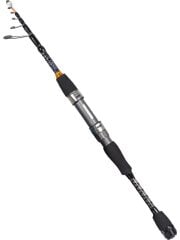Ryujı Rock Fısh Tele 2.28M 0.5-10GR (Solid Tıp) Lrf Tele Spın Kamış