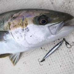 Little Jack Metal Adict 05 111 mm 60 gr