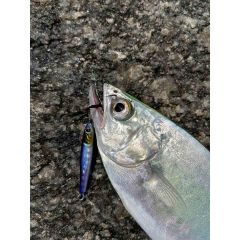 Little Jack Micro Adict Asymmetry 41mm 5gr Jig Yem