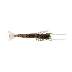 Albastar Gamba Silikon Karides E006 - 5CM