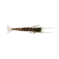 Albastar Gamba Silikon Karides E006 - 7.62CM