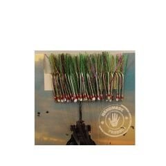 Çinekop Kösteği UV-GLOW Simli Youvella Kartonda 50 İğne 025mm Köstek 60