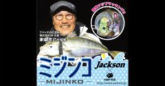 Jackson Mijinko Sinking 2,5 gr Maket Balık