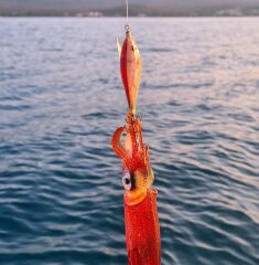 DTD Ballistic Red Killer 3.0 90mm 14.2gr Kalamar Zokası