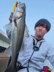 Longin King Goku 110 SF 18 gr Maket Balık