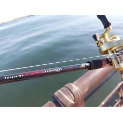 Apia Foojin NEW RS Barbarian C90MH+ 274cm 20-70 gr Tetikli Spin Olta Kamışı