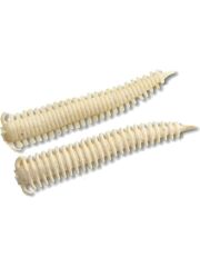 Berkley Gulp Alive Sandworm 5cm LRF Silikon Kurt New Penny
