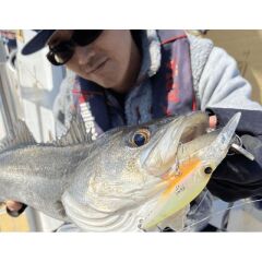 Apia Mayol 80S 80mm 15gr Sinking Maket Balık