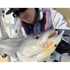 Apia Mayol 80S 80mm 15gr Sinking Maket Balık