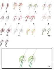 Hayabusa SE 125 Tai Rubber Free Slide Yedek Etekli Assist İğne Set 6