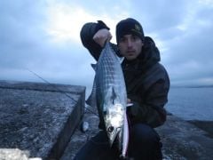 Duo Tide Minnow Slim 175 Flyer 29 gr Maket Balık
