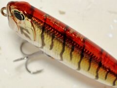Duo Realis Pencil 65 SW Chinu 5,5 gr Maket Balık Duo Realis Pencil 65 Sw Chinu 5,3 Gr Maket Balık Red Gold Shrimp