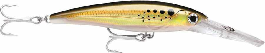 Rapala X-Rap Magnum Sahte Balığı BNK - 160MM