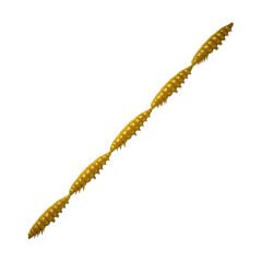 Libra Lures Larva Multi Cheese Suni Yem 036 - COFFEE MILK - 25MM