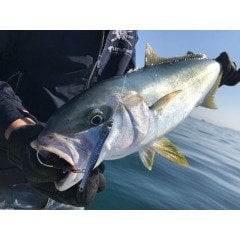 Little Jack Metal Adict 03 83 mm 20 gr Jig Yem