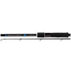 Shimano Rod Bassterra Spin Sea Bass 2,74m 9'0'' 12-38g 2pc Spin Kamışı