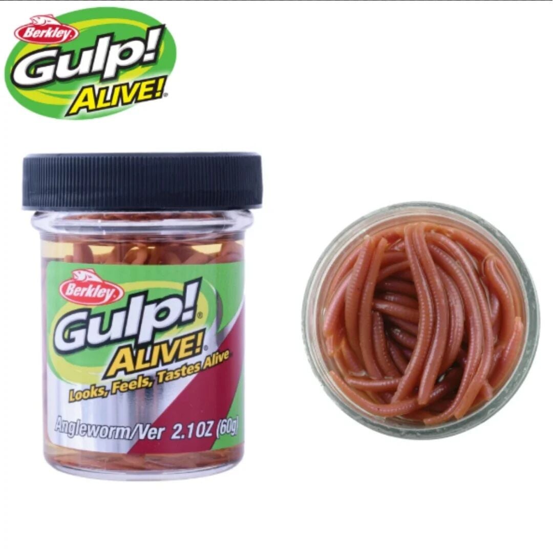 Berkley Gulp Alive Angle Worm 3 Cm Natural LRF Silikonu