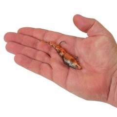 Berkley PowerBait Saltwater PowerSwitch Silikon Karides Yem NEW PENNY - 9CM-17.7GR