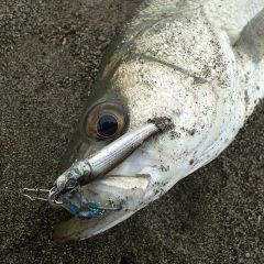 Little Jack Metal Adict 04 40 gr Jig Yem 02