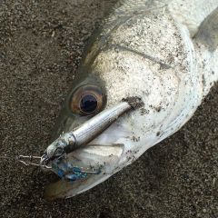 Little Jack Metal Adict 04 40 gr Jig Yem 09