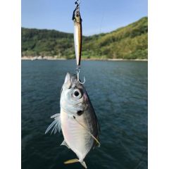Little Jack Metal Adict 02 78 mm 40 gr Jig Yem 02