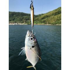 Little Jack Metal Adict 02 63 mm 20 gr Jig Yem 10