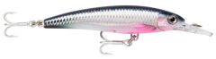 Rapala X-Rap 3x Minnow Sahte Balığı BNY - 100MM