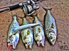 Duo Tide Minnow Slim 140 ACC3008 Neo Pearl