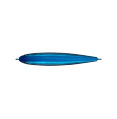 Shimano Exsence Galaslide 95F 95mm 14g Su Üstü Maket Balık